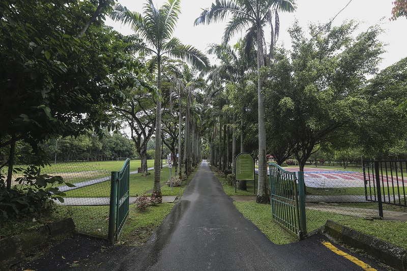 The carpark area and the thickest tree canopy zone is separated from the rest of Taman Rimba Kiara by a fence, with the border for the project site ending in between the fence and blue line. — Picture by Yusof Mat Isa