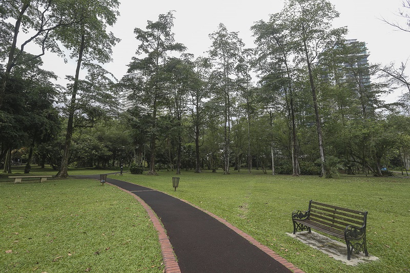 A general view of Taman Rimba Kiara in Taman Tun Dr Ismail, Kuala Lumpur. u00e2u20acu201d Picture by Yusof Mat Isa