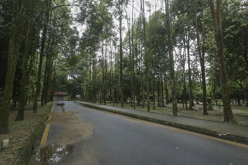 A general view of Taman Rimba Kiara in Taman Tun Dr Ismail, Kuala Lumpur. u00e2u20acu201d Picture by Yusof Mat Isa