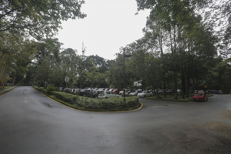 Trees line both sides of the road from Taman Rimba Kiara's sole entrance and at its sole carpark which is well-shaded by trees. — Picture by Yusof Mat Isa
