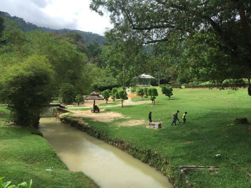 The Penang Botanic Gardens was established in 1884 and is the oldest botanic gardens in Malaysia. u00e2u20acu201d Picture by Opalyn Mok