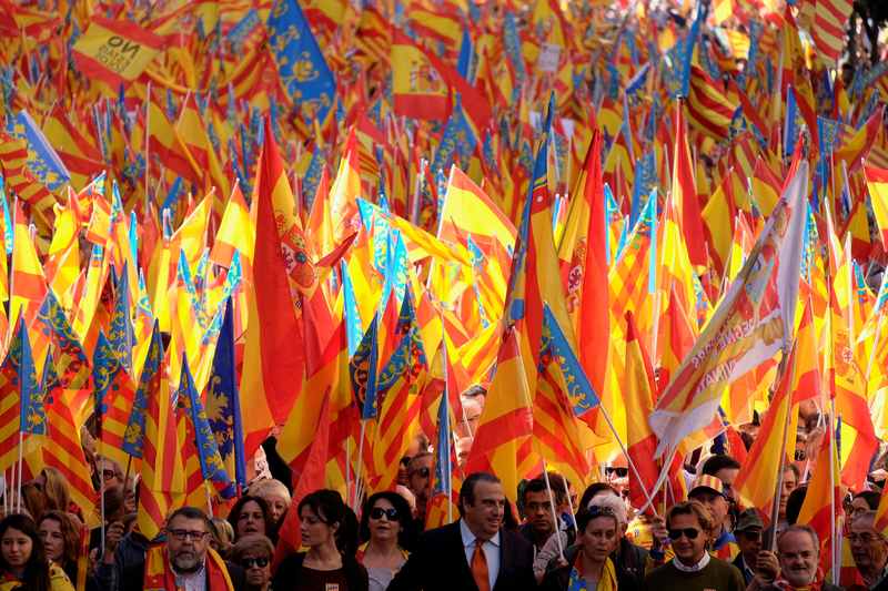 Protesters wave Spanish and Valencian flags during a demonstration in support of the national unity in Valencia November 11, 2017. u00e2u20acu201d Reuters pic