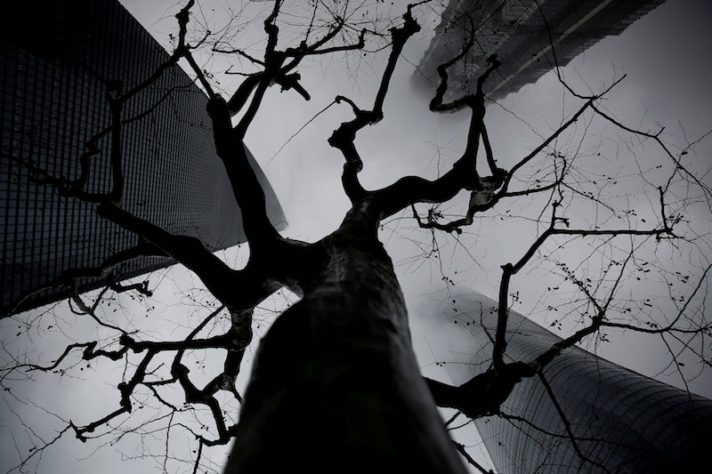 Skyscrapers Shanghai Tower (left), Jin Mao Tower (top) and Shanghai World Financial Centre are seen during a hazy day at the financial district of Pudong in Shanghai March 20, 2017. u00e2u20acu201d Reuters pic