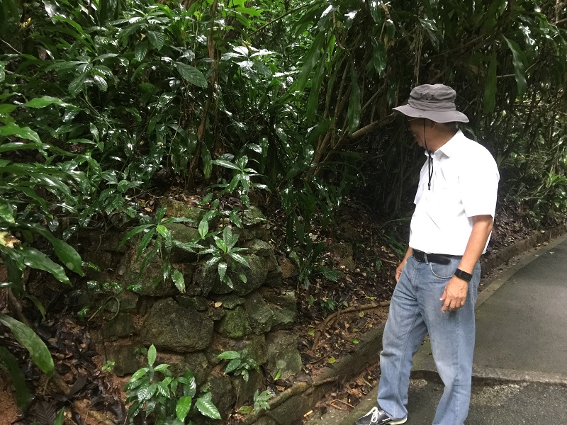 Penang Botanic Gardens curator Saw Leng Guan looking at the remnants of one of the tunnels dug by the Japanese during World War II. u00e2u20acu201d Picture by Opalyn Mok