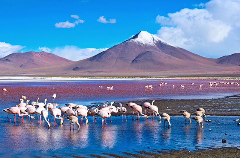 The Atacama Desert in Chile. u00e2u20acu201d Picture by Byelikova_Oksana/Istock.com via AFP
