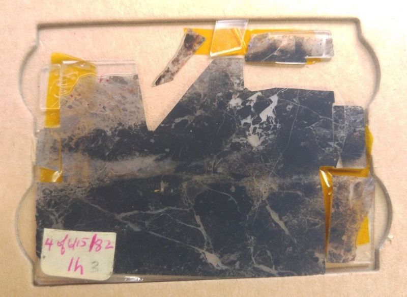 Eleven kinds of microbes, preserved in both their cylindrical or snake-like structures, are preserved in the rock. u00e2u20acu2022 AFP pic