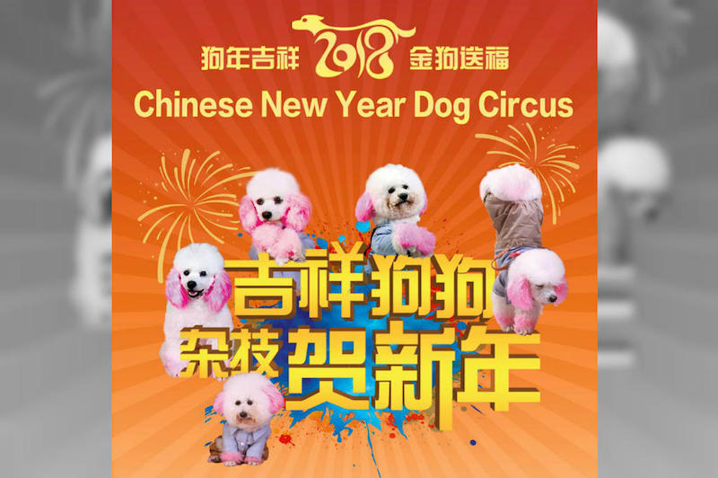 The show, which was branded as the u00e2u20acu02dcChinese New Year Dog Circus 2018u00e2u20acu2122, was scheduled to take place at Resorts World Sentosa in February 2018 to welcome the Chinese Lunar New Year. u00e2u20acu201d Picture via Facebook.com/Sistic