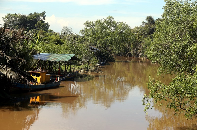 A general view of the Kuala Sepetang river in Kampung Dew January 10, 2018. — Picture by Marcus Pheong