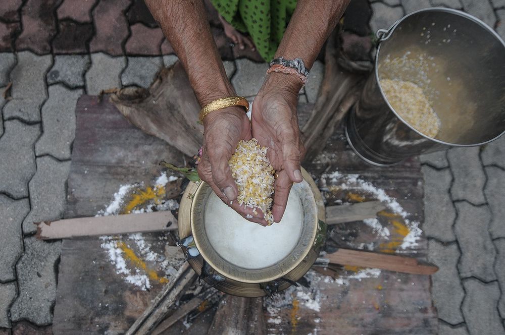 Rice and milk are cooked in a clay pot to prepare the sweet u00e2u20acu02dcsarkkarai ponggalu00e2u20acu2122 dish during Ponggal celebration at Brickfields, Kuala Lumpur, January 14, 2018. u00e2u20acu201d Picture by Miera Zulyana