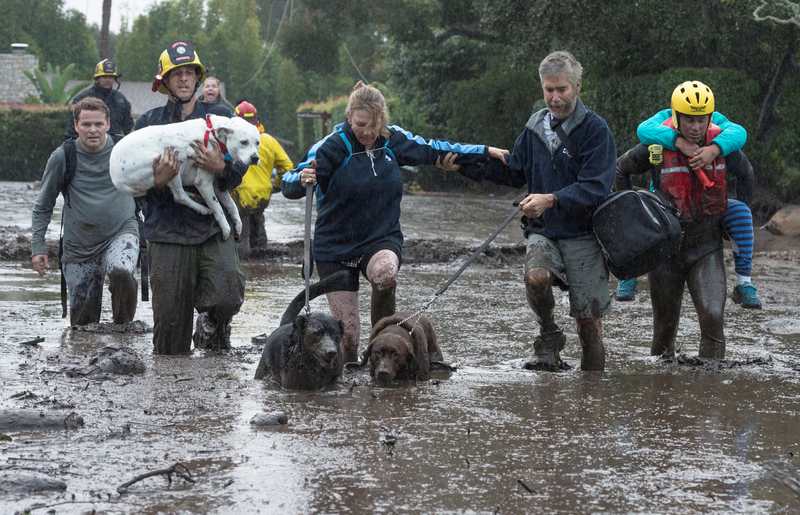 Emergency personnel evacuate local residents and their dogs through flooded waters after a mudslide in Montecito, California January 9, 2018. u00e2u20acu201d Reuters pic