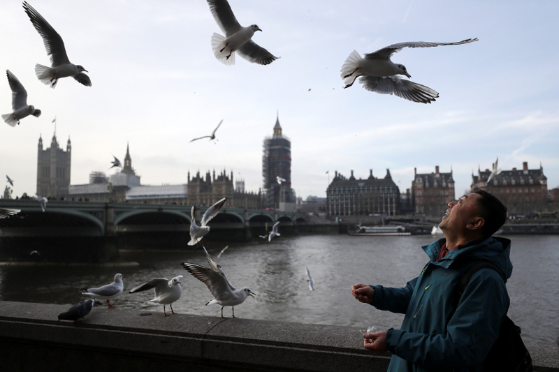A tourist throws food for gulls as he stand opposite the House of Parliament in London January 7, 2018. u00e2u20acu201d Reuters pic