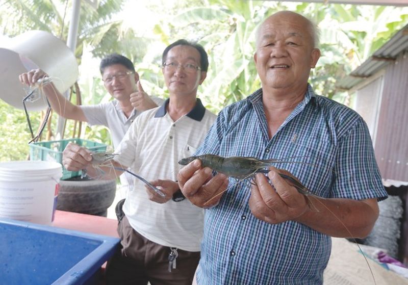 (From left) Ah Lee, Soon Mun and Hon Fatt are proud of their seafood.