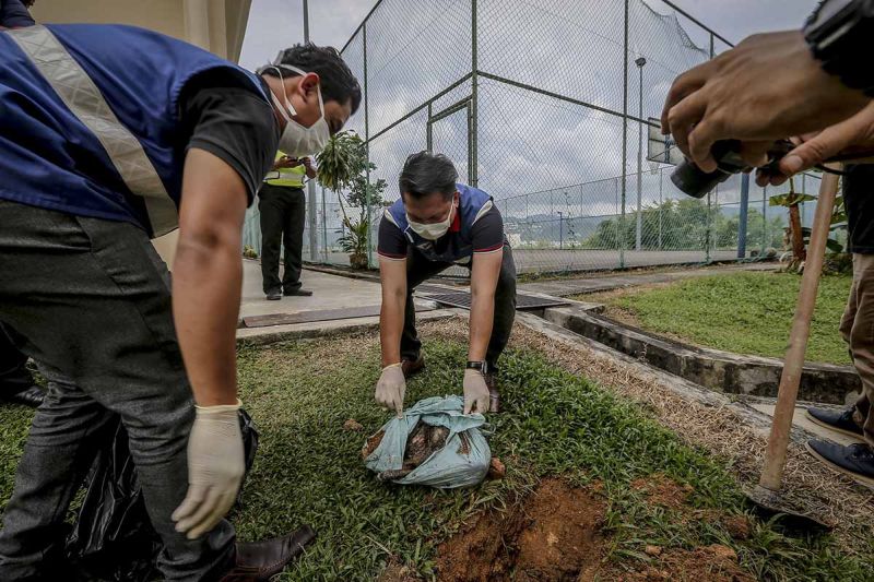 Personnel from the Veterinary Department take away two of the latest victims for testing at the Sri Kenangan Condominium in Wangsa Maju January 5, 2018. u00e2u20acu201d Picture by Firdaus Latif