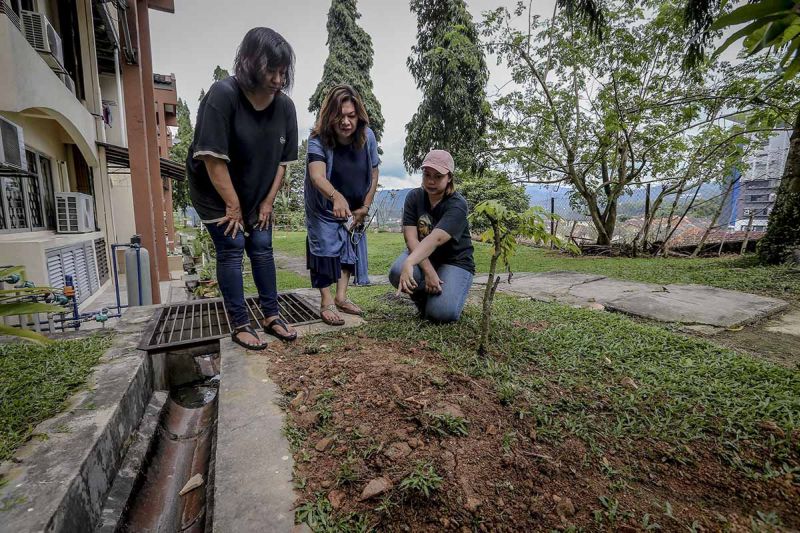 (From left): Residents Nor Hatiah Abdul Kadir, Adibah Zainualdin and Ninna Cornelia showing the burial site the cats at Sri Kenangan Condominium in Wangsa Maju.