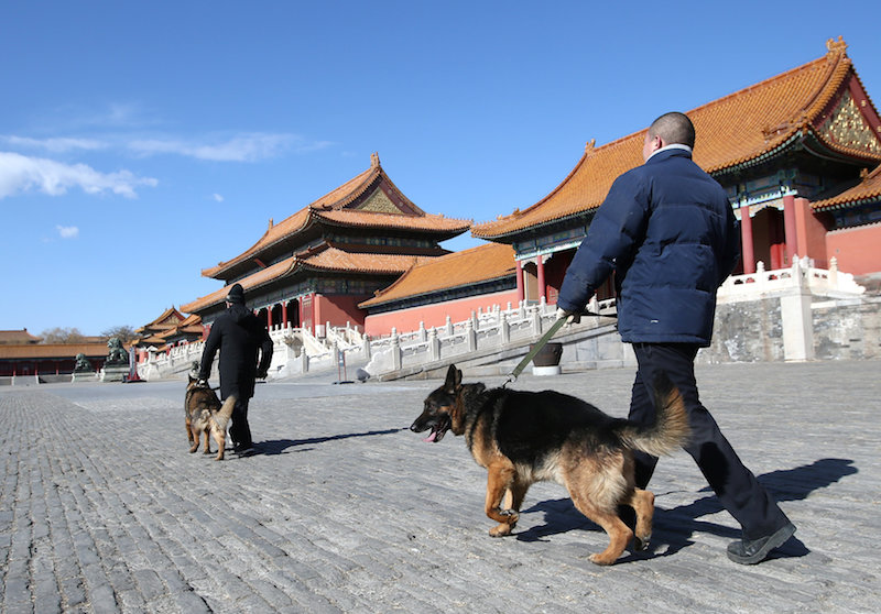 Security staff of canine patrol squad Zhang Yu and Chang Fumao patrol with guard dogs in front of the Hall of Supreme Harmony of the Forbidden City in Beijing February 12, 2018. u00e2u20acu201d Reuters pic