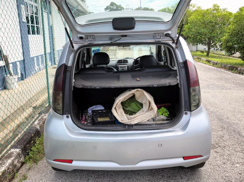 Two men were arrested after police found 1kg of ketum leaves in a car that they were travelling in. u00e2u20acu201d Picture courtesy of PDRM