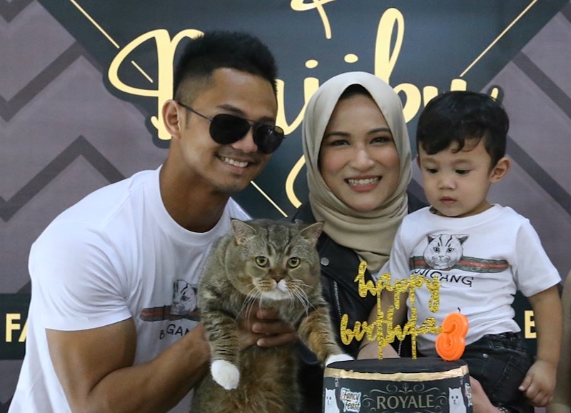 A fancy birthday feast for Bujibu at SPCA Malaysia  in Kuala Lumpur February 12, 2018. u00e2u20acu201d Picture by Zuraneeza Zulkiflii