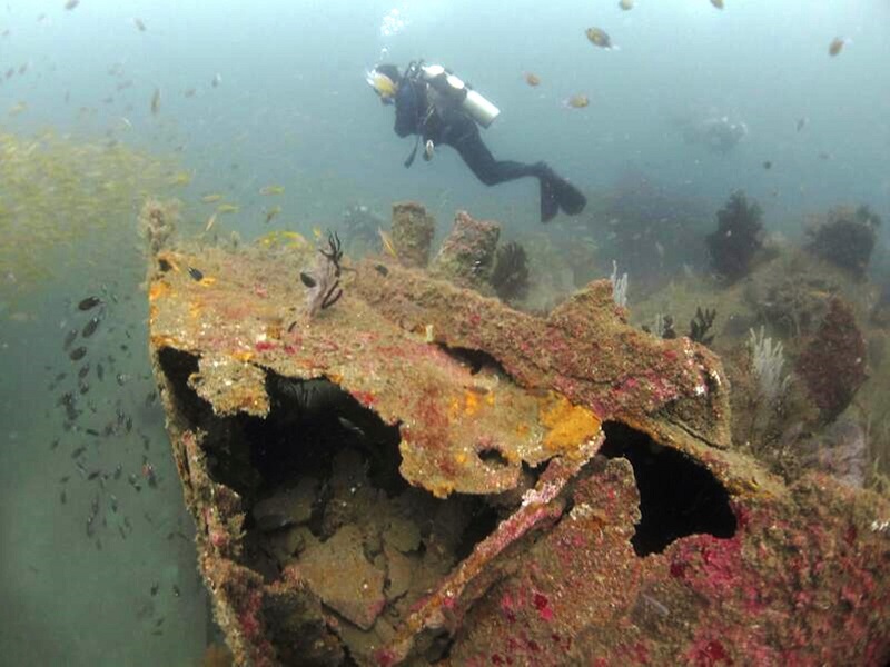 The shipwrecks structures that are still intact and being colonised by the variety of marine life. One of shipwrecks is the Australian Wreck, located some 13 nautical miles away, near the Rusukan Besar island southwest of Labuan. u00e2u20acu201d Bernama pic