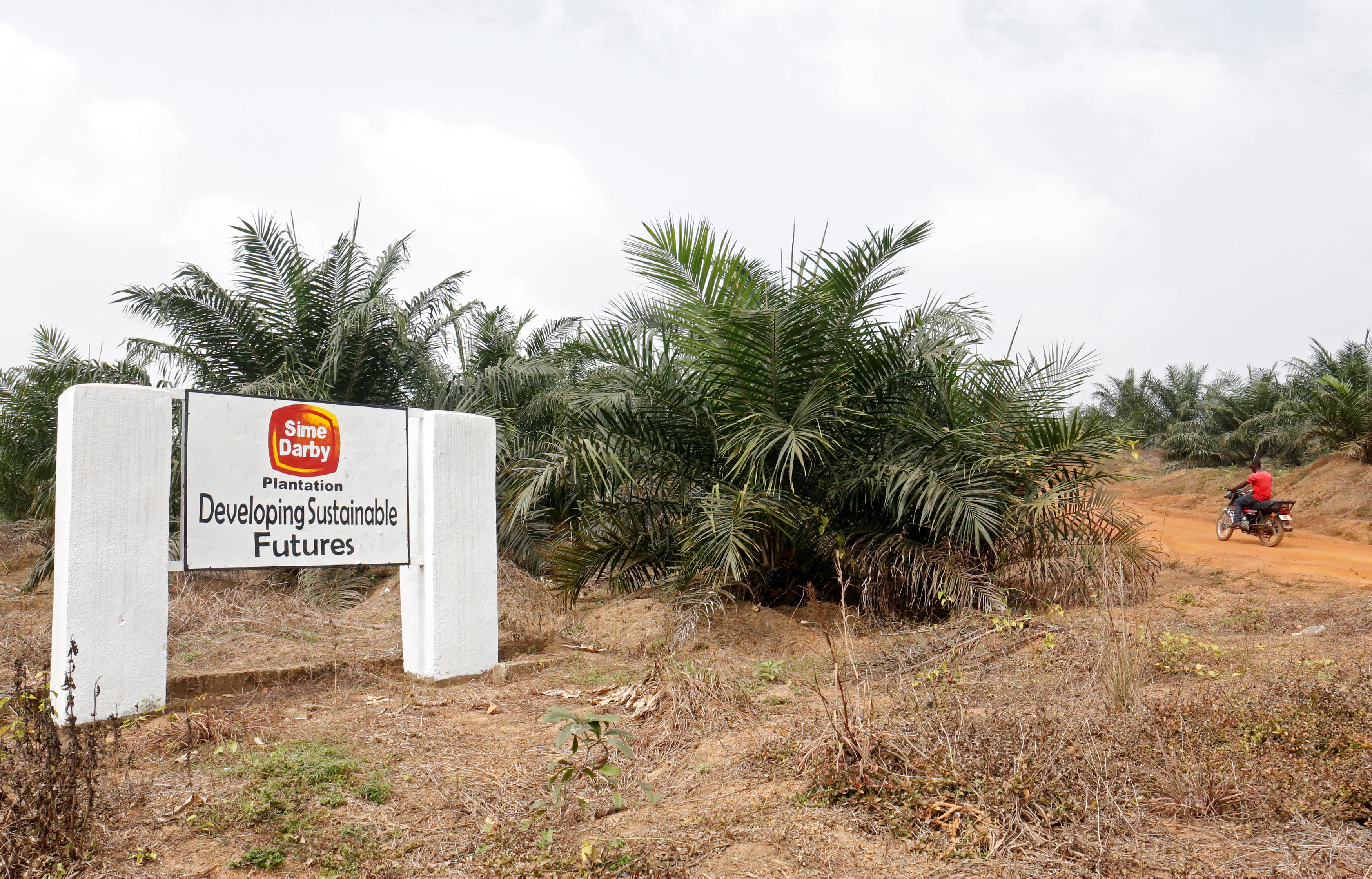 A man rides a motorbike past a sign for Sime Darby Plantation in Gbah, in Bomi County, Liberia December 30, 2017. u00e2u20acu201d Reuters pic
