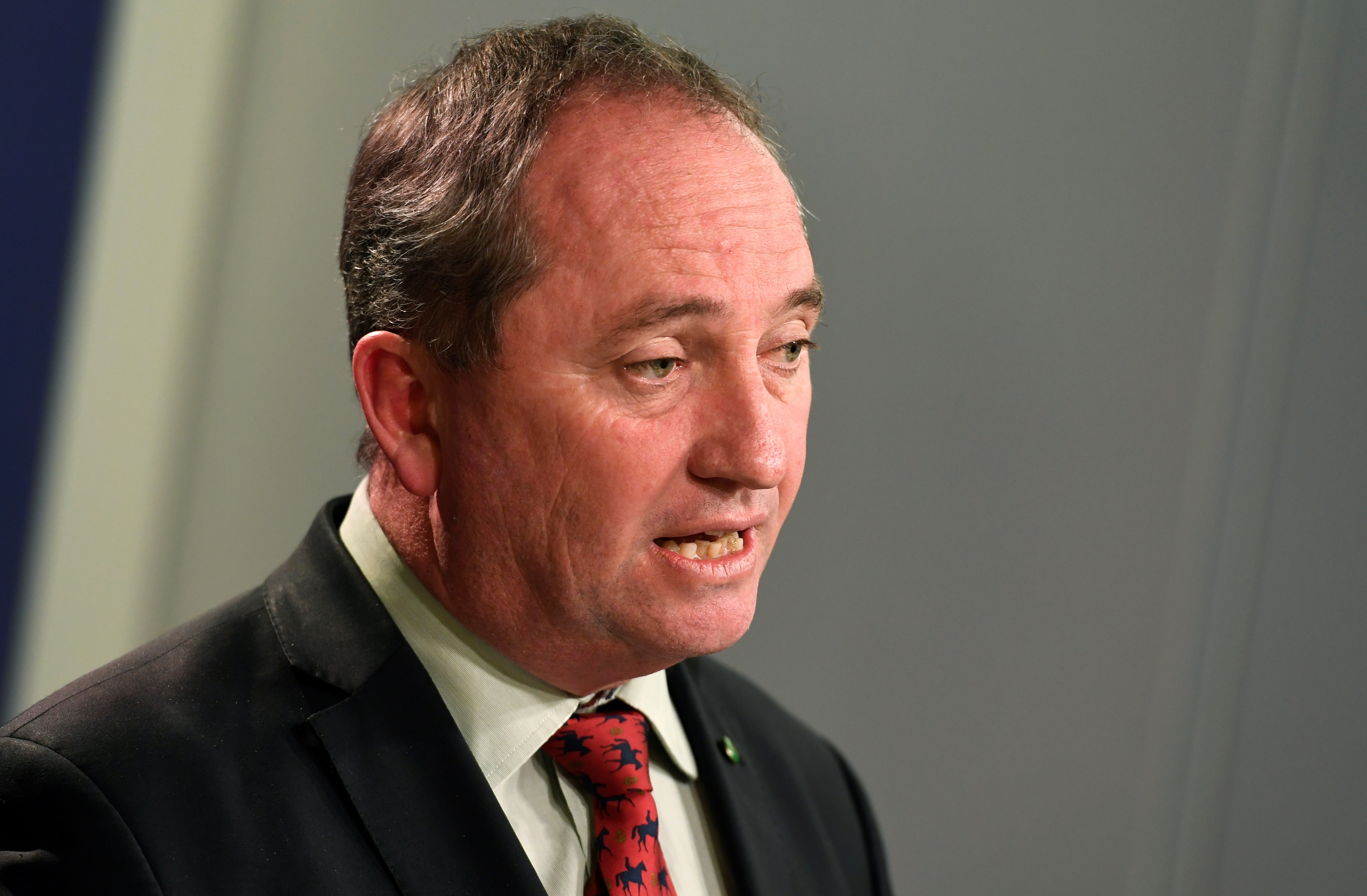 This file photo taken on July 5, 2016 shows Australia's Deputy Prime Minister Barnaby Joyce addressing a press conference in Sydney. u00e2u20acu201d  AFP picn