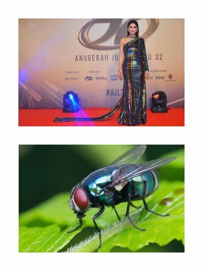 The cosmetic queenu00e2u20acu2122s metallic gown at Sundayu00e2u20acu2122s Anugerah Juara Lagu was compared to a green bottle fly. u00e2u20acu201d Facebook/Syed Nasroon Syed Ishak