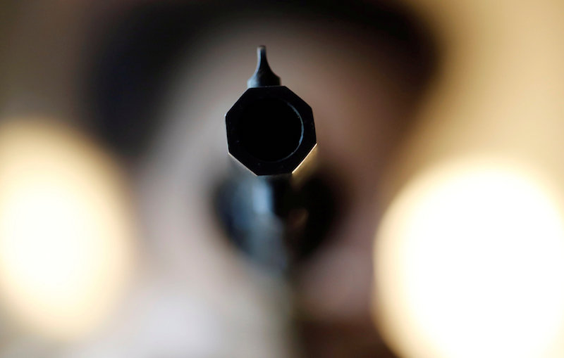 A weapon collector holds a 44-calibre gun in his house in Bordeaux, France, March 19, 2018. u00e2u20acu201d Reuters pic