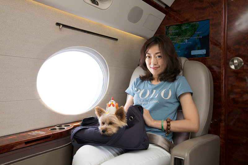 Zoe Man poses with one of her pet dogs on board a private jet during her Japan trip from Hong Kong July 17, 2017. — Reuters pic