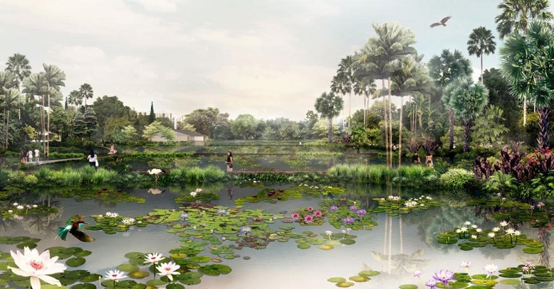 More than 140 varieties of water lilies will be showcased within water terraces at the Aquatic Gardens, making it the largest collection of water lilies here in the Republic. u00e2u20acu201d Picture courtesy of NParks via TODAY