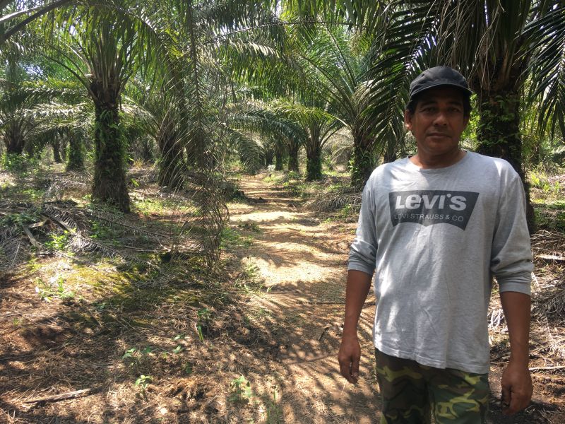Smallholder farmer Isnin Kasno on his palm oil plantation near Johor March 22, 2018. u00e2u20acu2022 Thomson Reuters Foundation/Michael Taylor pic
