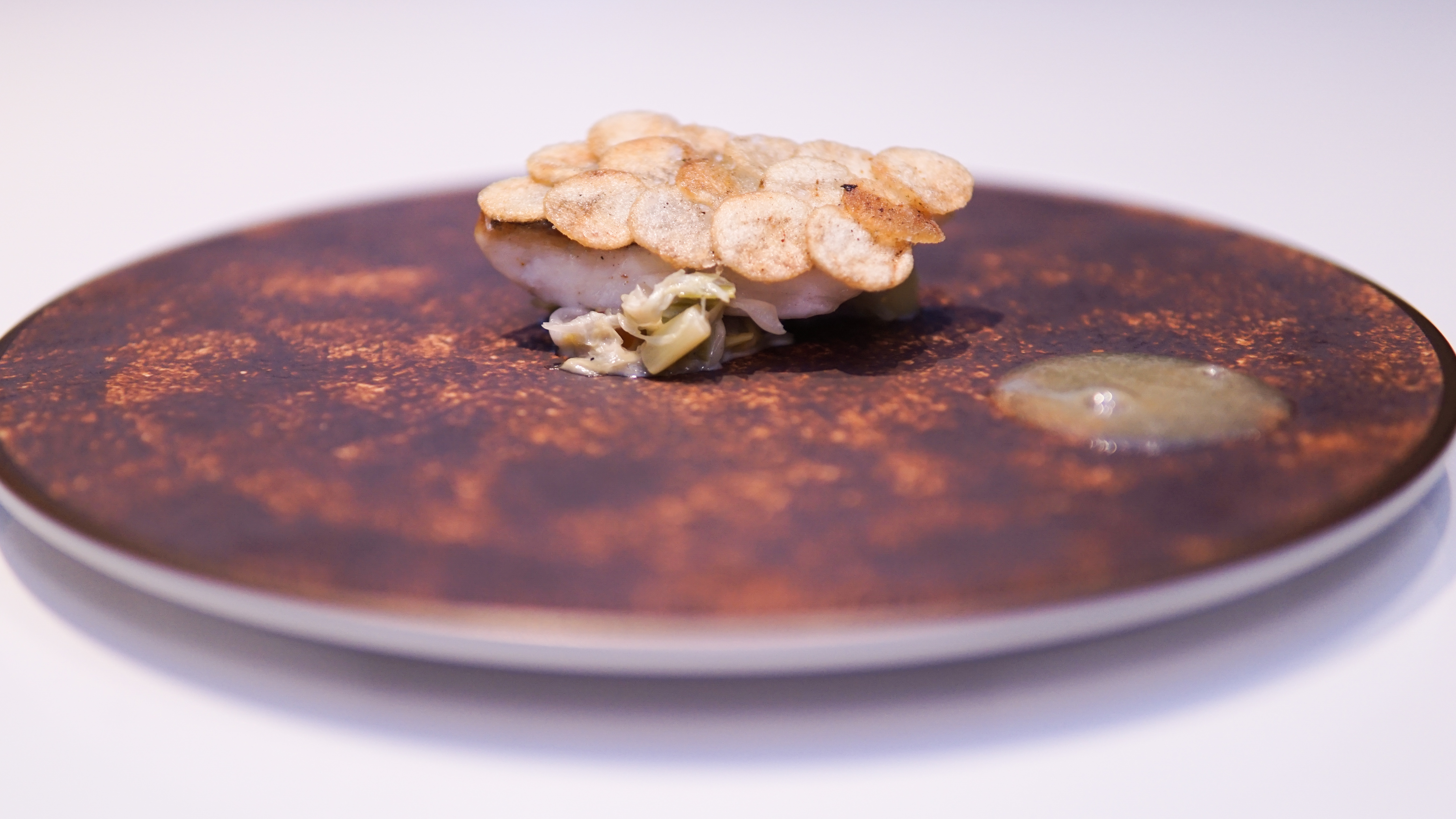 A new take on fish scales.