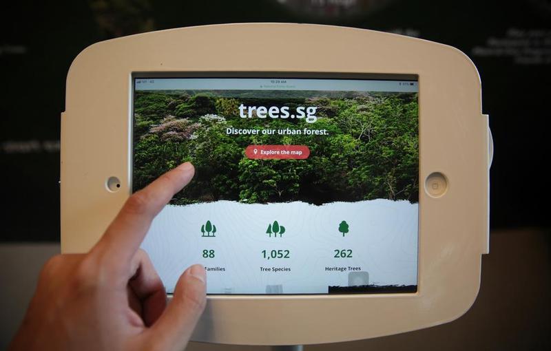 NParks launches a new website to allow the public to learn more about trees. u00e2u20acu201d TODAY pic