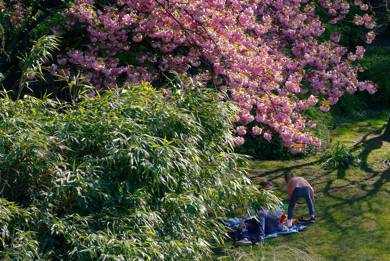 People enjoy the good weather in a park in central Brussels, Belgium, April 18, 2018. — Reuters pic