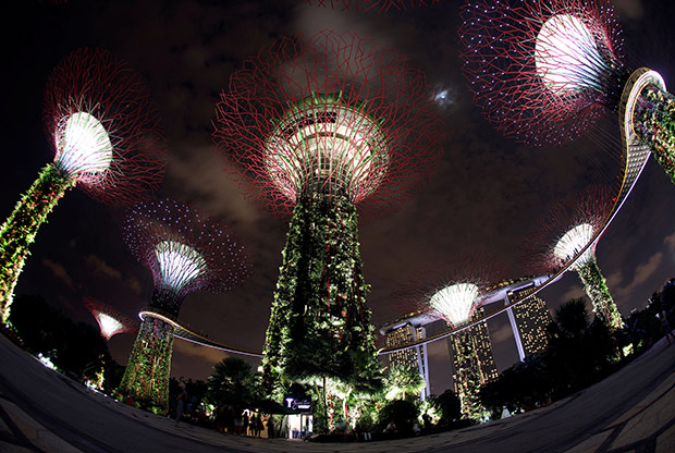 The iconic Gardens by the Bay... never mind how far Singapore has come, some people are fixated on its past and how it should be “presented.” — Reuters pic