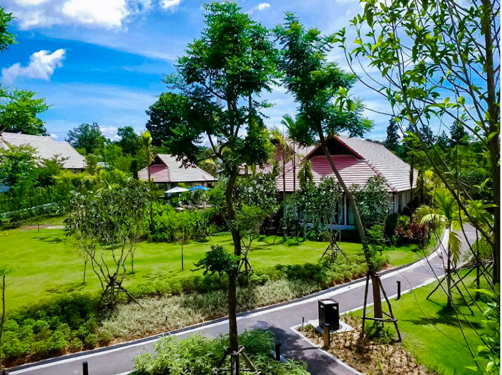 The Cabin Chiang Mai is one of the many luxury rehabilitation centres mushrooming in Thailand. u00e2u20acu201d Picture courtesy of Facebook/The Cabin Chiang Mai