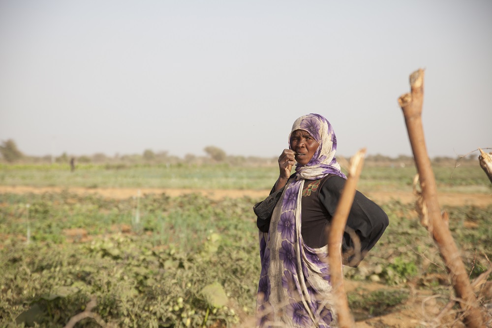 A woman stands in her field of vegetables in Ru00e2u20acu2122Kiz, Mauritania April 1, 2018. u00e2u20acu201d Thomson Reuters Foundation pic