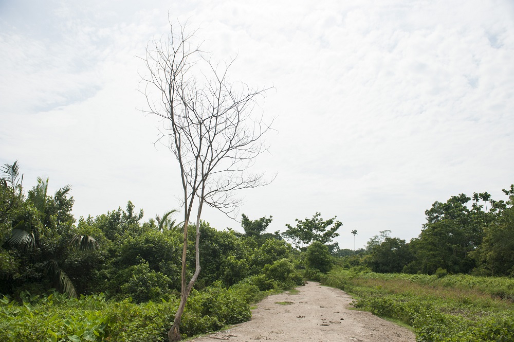 The bund that led along the Sungai Perai. u00e2u20acu201d Picture by K.E. Ooi