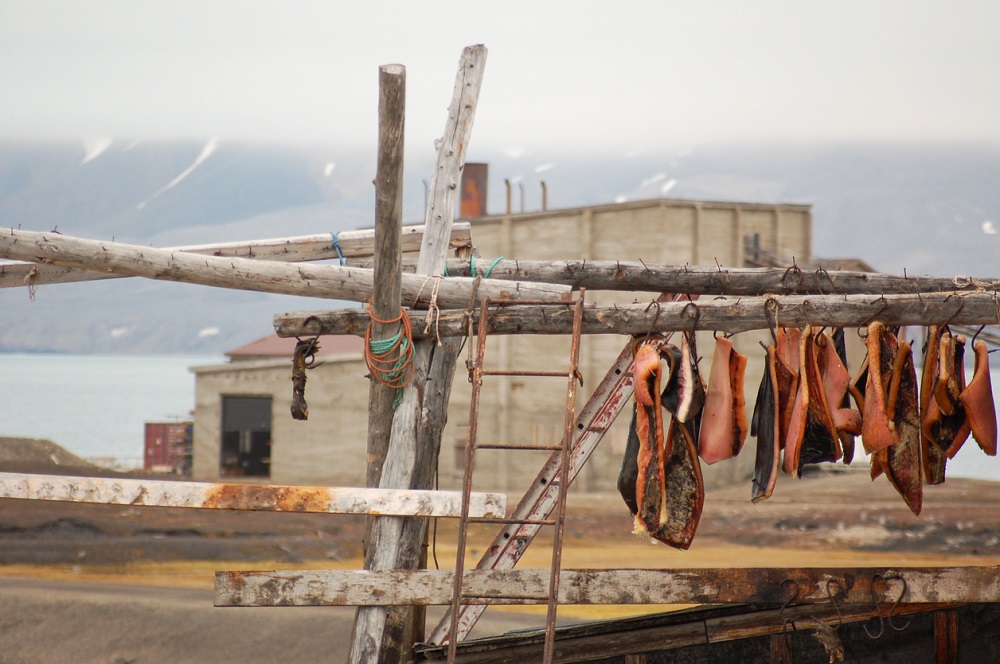 A book written by 50 indigenous youth on food traditions like reindeer meat in the Arctic has been named best food book of 2018. u00e2u20acu201d AFP pic