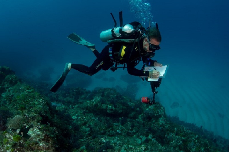 This undated handout photo taken by Rick Stuart-Smith and released by the University of Technology Sydney on June 6, 2018 shows a diver taking notes underwater off the coast of Lord Howe Island in the Pacific ocean. u00e2u20acu201d AFP pic