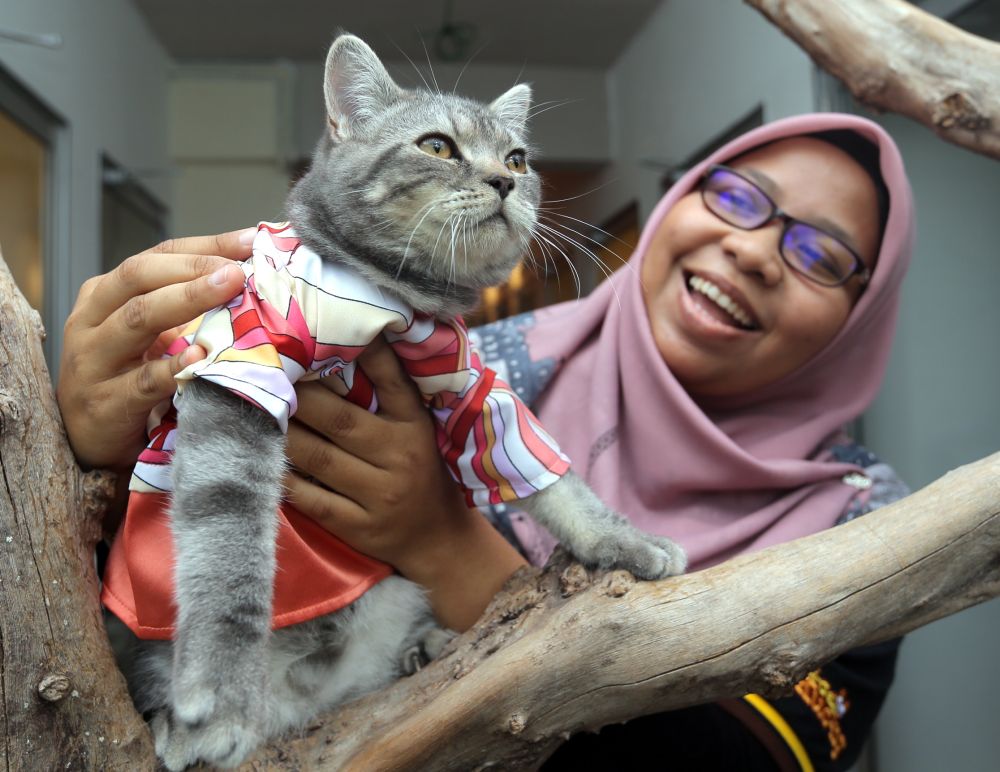 Geli-Geli Kucing owner Faizulniza Puzi strikes a pose with a cat clothed in a Raya outfit at her shop in Taiping June 9, 2018. u00e2u20acu2022 Picture by Farhan Najib
