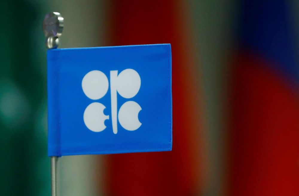 A flag with the Organisation of the Petroleum Exporting Countries (Opec) logo is seen during a meeting of Opec and non-Opec producing countries in Vienna, Austria September 22, 2017. u00e2u20acu201d Reuters pic