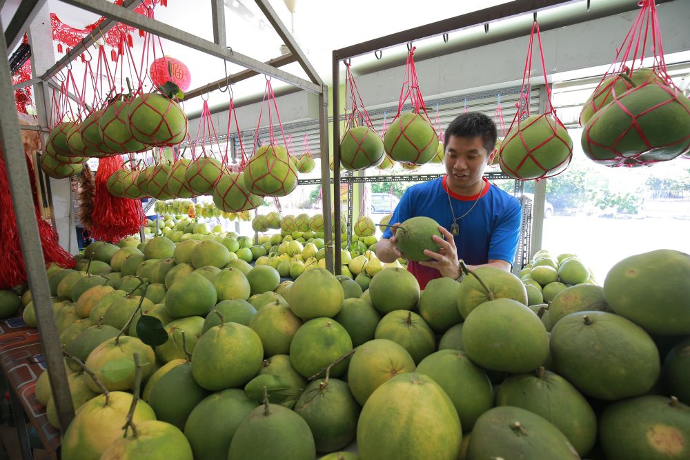 Tambun pomelos are one of Ipohu00e2u20acu2122s most well-known exports. u00e2u20acu201d  Picture by Marcus Pheong