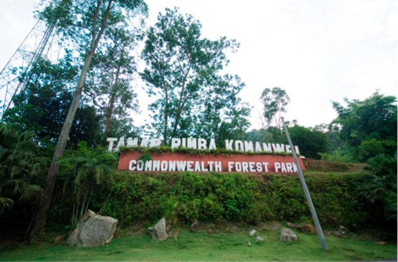 Fun for all at the Commonwealth Forest Park.