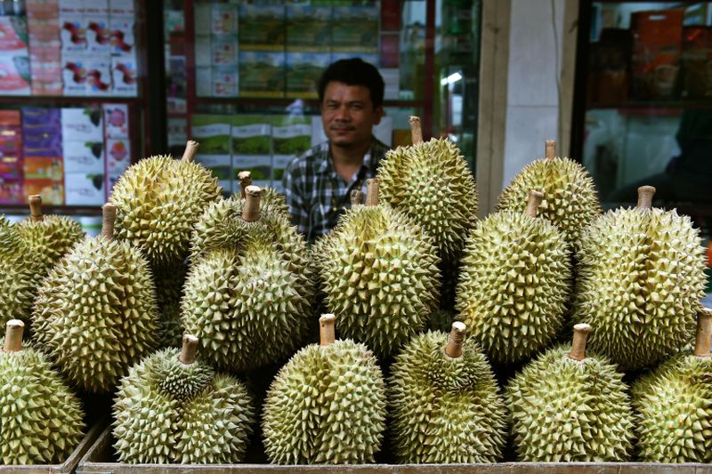 Thailand plans to shoot durian into orbit to test its durability. u00e2u20acu2022 AFP pic