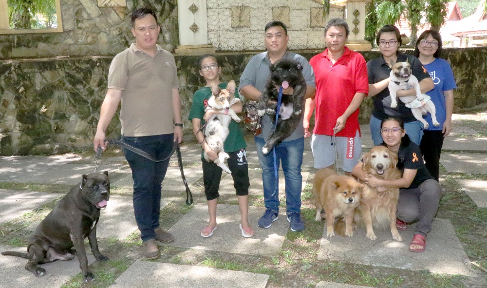 The organiser of the Anti-Yulin Dog Meat Festival holds various activities to celebrate everything beloved about canines.