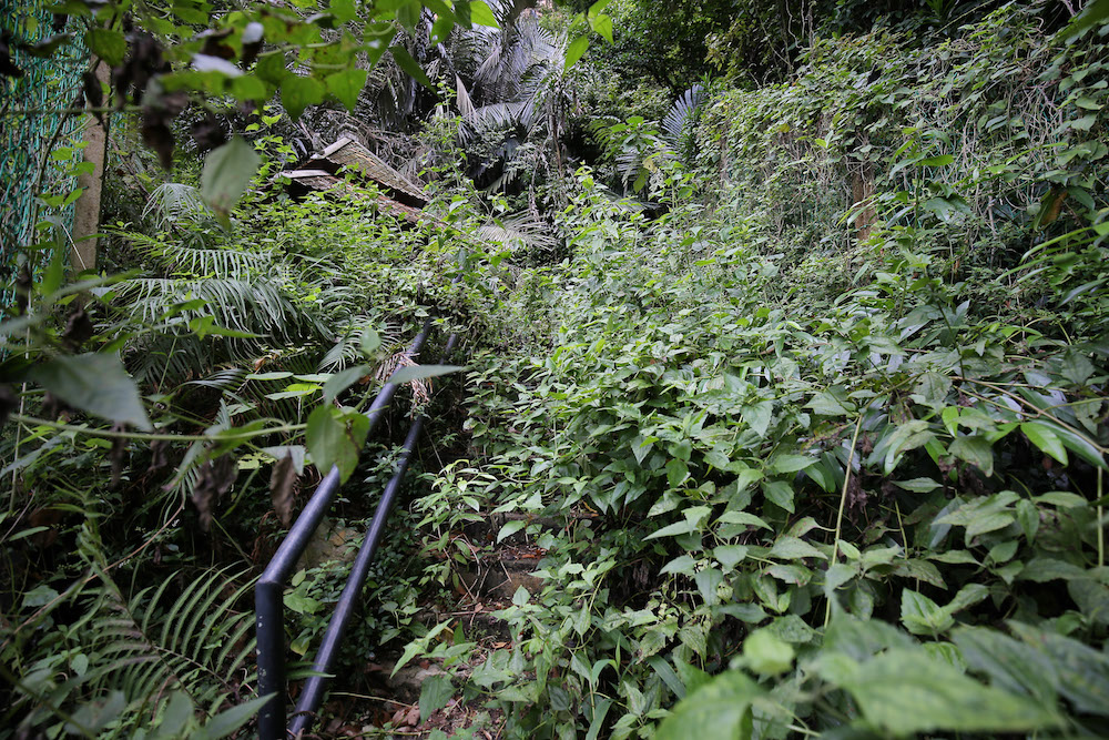 Access routes to the site of South-east Asia’s largest hematite Neolithic rock art have been found to be unsafe and poorly maintained. — Picture by Marcus Pheong