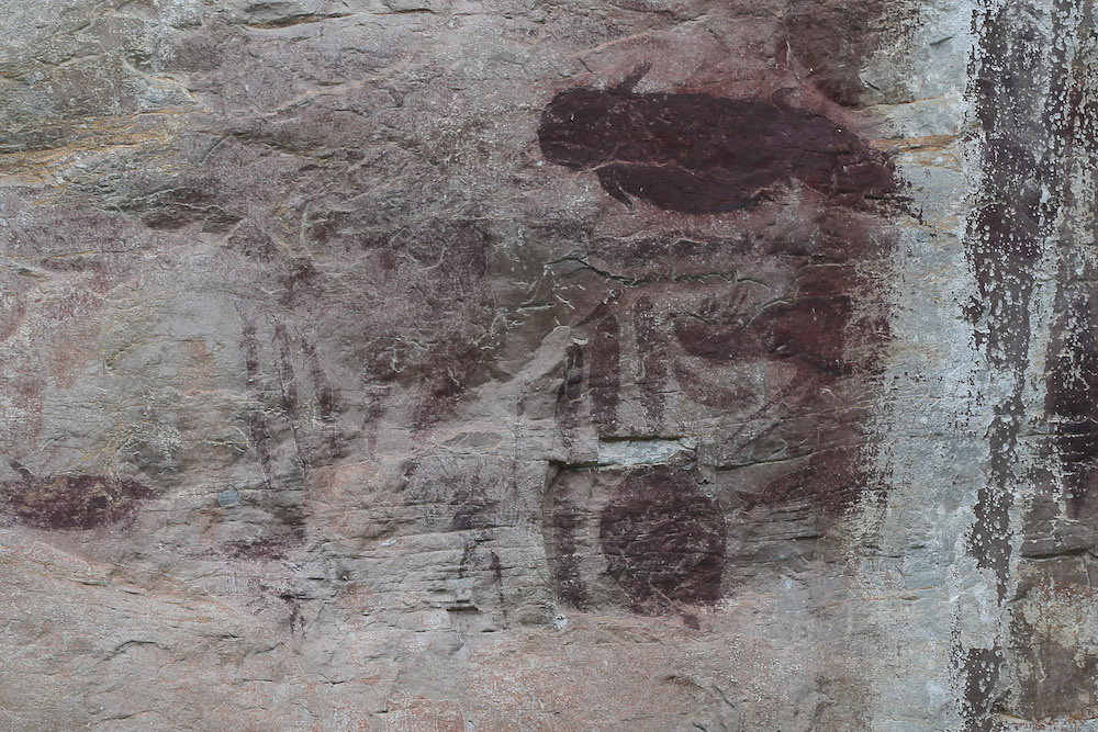 An example of a cave drawing in Gua Tambun. u00e2u20acu201d Picture by Marcus Pheong