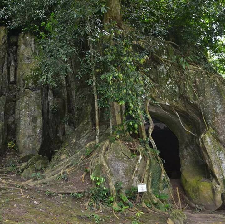 Entrance to Gua Pelangi. The cave holds prehistoric artefacts. ― Picture via Facebook/Gua Pelangi