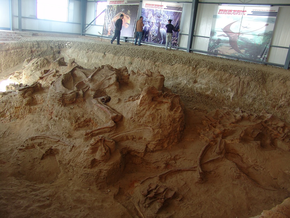 One of the four quarries producing fossils of Lingwulong, a newly discovered dinosaur unearthed in northwestern China is seen in this handout image provided by Zhang Zongda July 24, 2018. — Reuters pic 