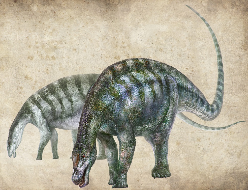 An artistu00e2u20acu2122s rendering of Lingwulong shenqi, a newly discovered dinosaur unearthed in northwestern China, appears in this handout image provided by Zhang Zongda July 24, 2018. u00e2u20acu201d Reuters pic