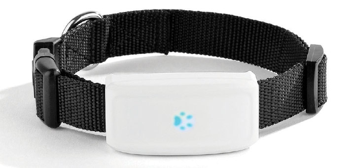 SP07, the GPS tracking device that can be worn around the neck of a pet.